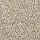 Mohawk Carpet: Vitalize I Silver Dollar